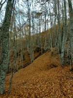 20201114_135230.jpg