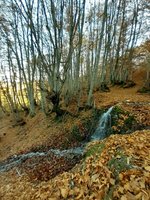 20201114_135304.jpg