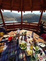 IMG_20201114_175545.jpg