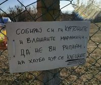 FB_IMG_1606148073710.jpg