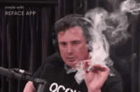 reface-2020-11-24-01-18-50.gif