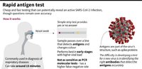 Antigen-1024x733.jpg