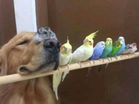 1608317465620.png