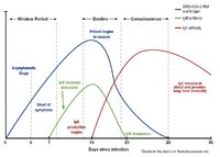 Rapit-test-graph.jpg