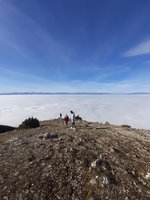 20201219_110558.jpg