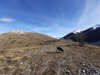 20201219_112047.jpg