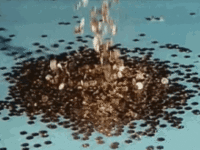 paricki.gif