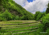 IMG_20200614_161152.jpg