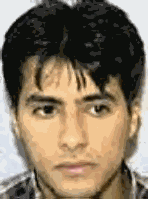 Image469.gif