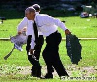 lawn4.jpg