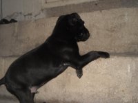 DSCN0907.jpg