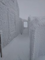 IMG_20210106_112641.jpg