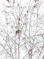 20210214_134949.jpg