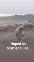28933_73328882_napad.jpg