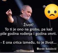 balasevic1.jpg