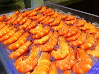 IMG_5829.JPG