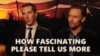 tumblr_83dcfdae0dba06dad413ff1a99f2f12f_83e0e67a_500.gif