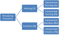 Perceiving-functions.png