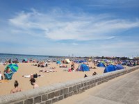 IMG_20201103_123907.jpg