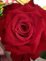 IMG_20210309_152909.jpg