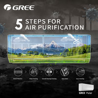 GREE Pular Inverter 5 Air Purification.jpg