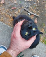 IMG_20210327_170618_880.jpg