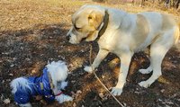 IMG_20210327_173138.jpg