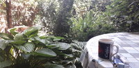20200614_105019.jpg