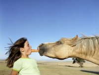 girl-horse-and-carrot.jpg