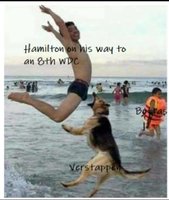 f1.jpg