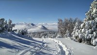 IMG_20170122_123506_HDR.jpg
