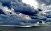 IMG_20200722_200611.jpg