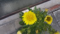 20210503_113614.jpg