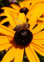 20200825_100808.jpg