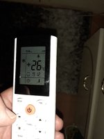 20210601_191951.jpg