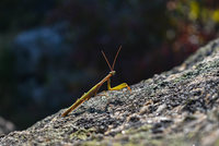 DSC_1099.jpg