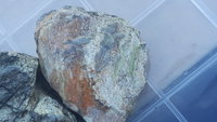 20210617_065653.jpg