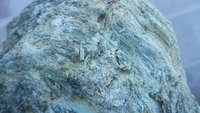 20210617_065705.jpg