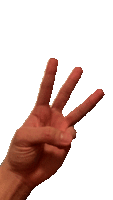 giphy.gif