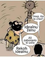 Idealna zena.jpg