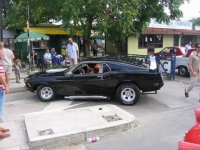 mustang2l.jpg