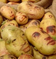 Potato+Portraits+by+Ginou+Choueiri+3.jpg