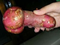 phallic-potato.jpg