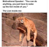 1627602202433.png