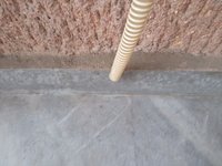 IMG_20210802_162455.jpg
