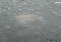 tumblr_mxyzq8Z0Lt1s02vreo1_400.gif