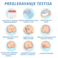 Pregledavanje-testisa.jpg