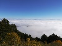 IMG_20211021_104352.jpg