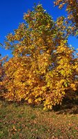 20211025_090005_resize_99.jpg