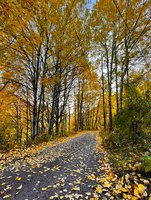 IMG_20211112_095834.jpg